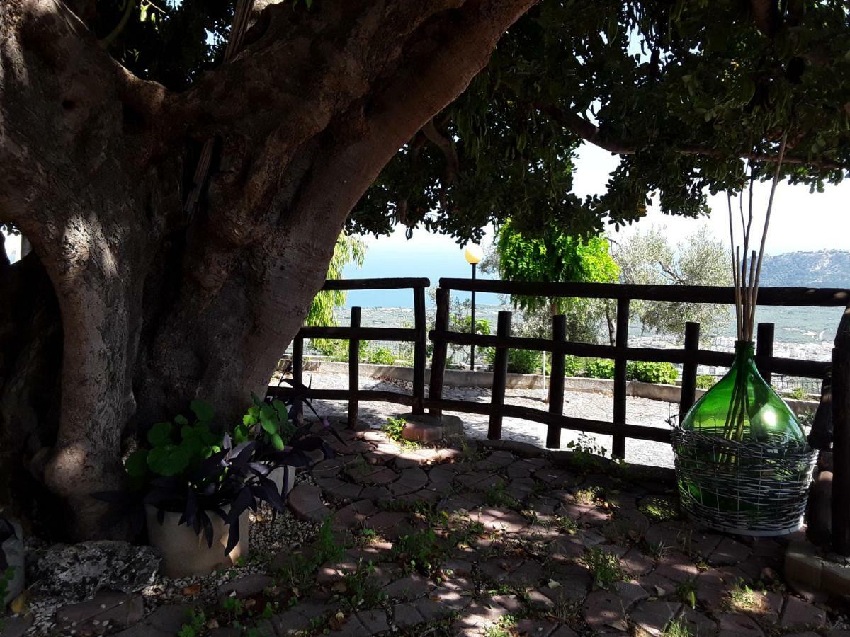 מאטינאטה B&B La Scapola מראה חיצוני תמונה