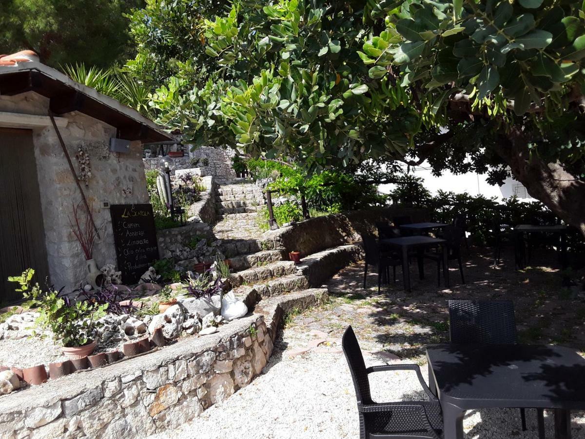 מאטינאטה B&B La Scapola מראה חיצוני תמונה