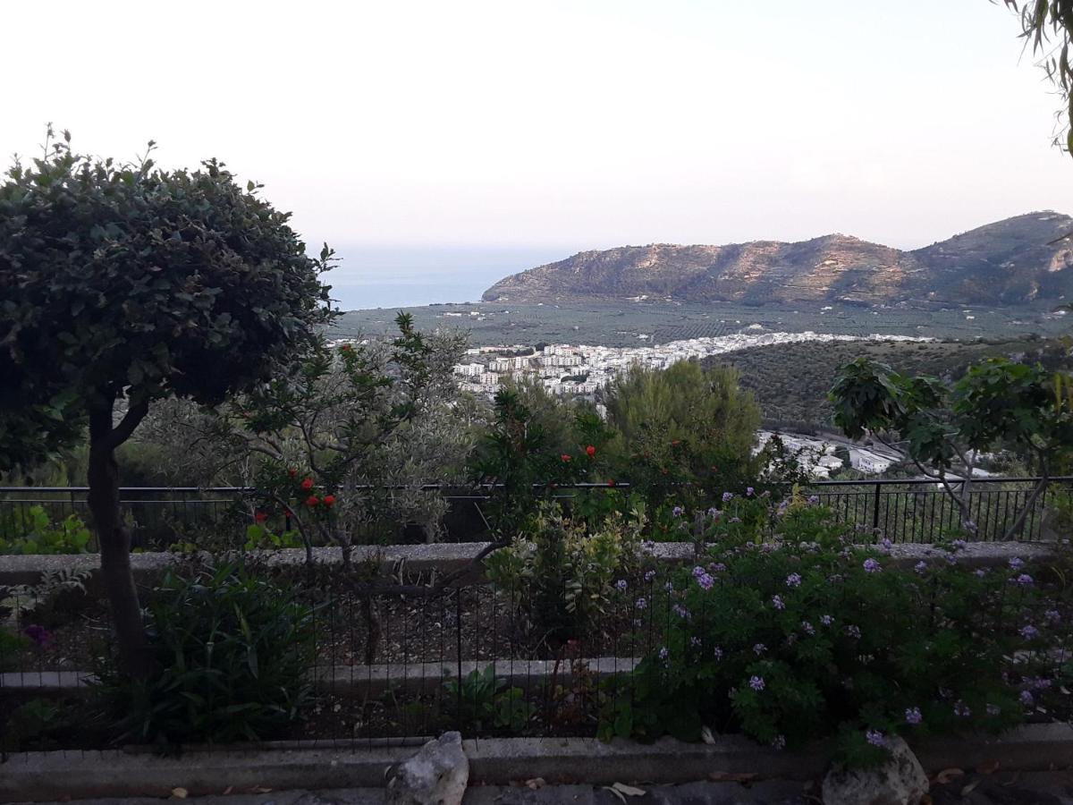 מאטינאטה B&B La Scapola מראה חיצוני תמונה